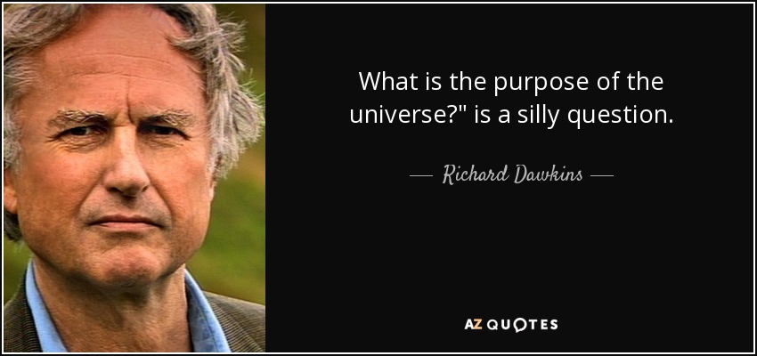 What is the purpose of the universe?