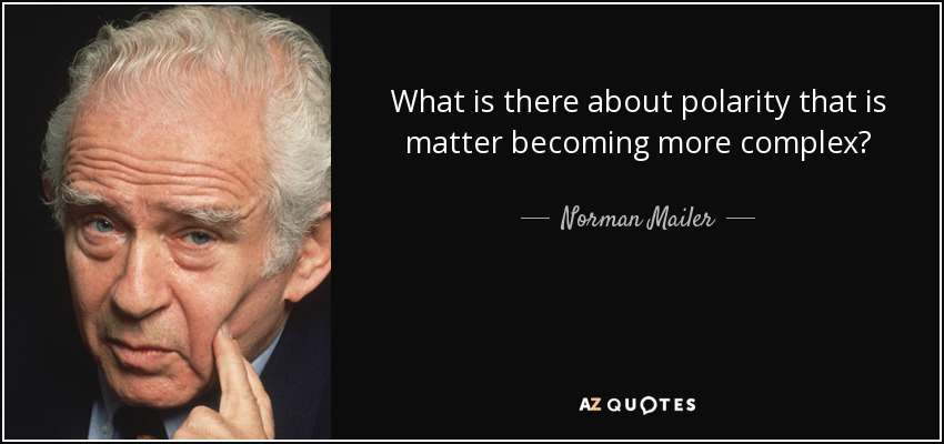 What is there about polarity that is matter becoming more complex? - Norman Mailer