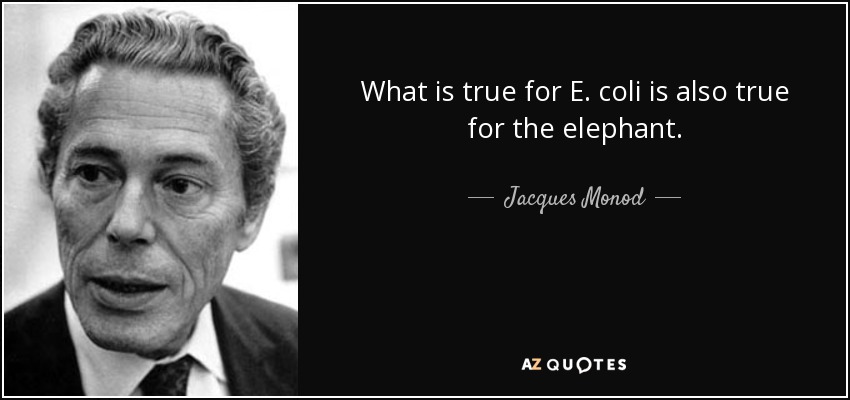 What is true for E. coli is also true for the elephant. - Jacques Monod
