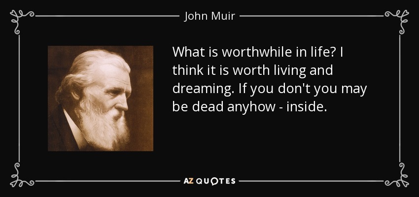 What is worthwhile in life? I think it is worth living and dreaming. If you don't you may be dead anyhow - inside. - John Muir