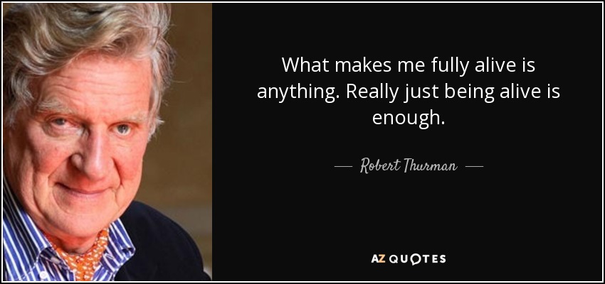 What makes me fully alive is anything. Really just being alive is enough. - Robert Thurman