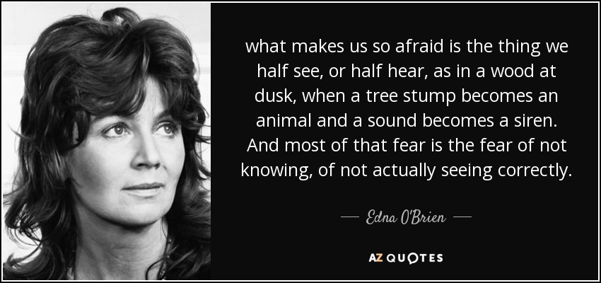 what makes us so afraid is the thing we half see, or half hear, as in a wood at dusk, when a tree stump becomes an animal and a sound becomes a siren. And most of that fear is the fear of not knowing, of not actually seeing correctly. - Edna O'Brien