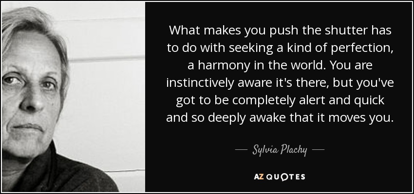 What makes you push the shutter has to do with seeking a kind of perfection, a harmony in the world. You are instinctively aware it's there, but you've got to be completely alert and quick and so deeply awake that it moves you. - Sylvia Plachy