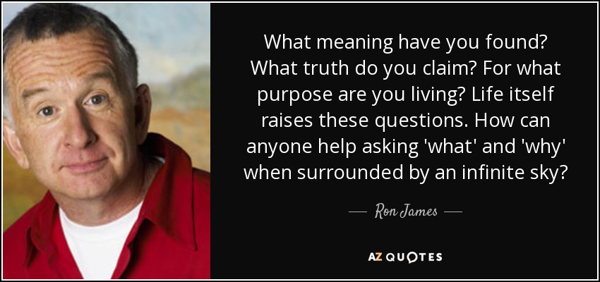 What meaning have you found? What truth do you claim? For what purpose are you living? Life itself raises these questions. How can anyone help asking 'what' and 'why' when surrounded by an infinite sky? - Ron James