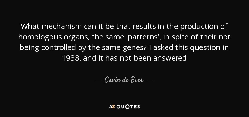 What mechanism can it be that results in the production of homologous organs, the same 'patterns', in spite of their not being controlled by the same genes? I asked this question in 1938, and it has not been answered - Gavin de Beer
