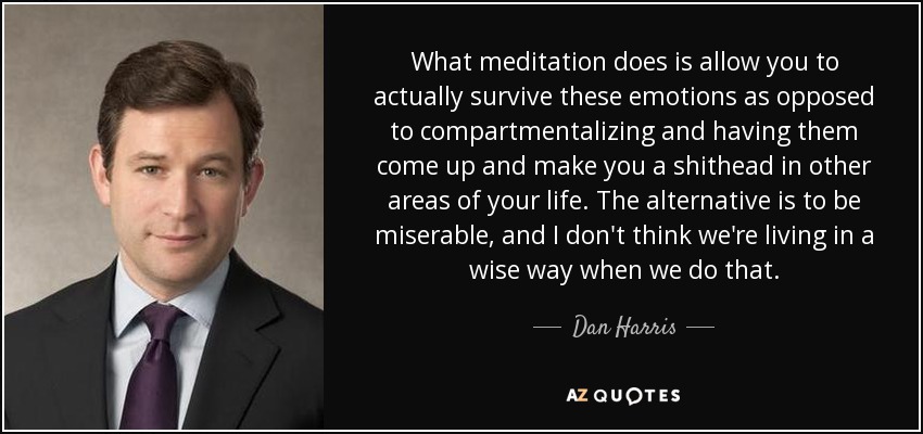 What meditation does is allow you to actually survive these emotions as opposed to compartmentalizing and having them come up and make you a shithead in other areas of your life. The alternative is to be miserable, and I don't think we're living in a wise way when we do that. - Dan Harris