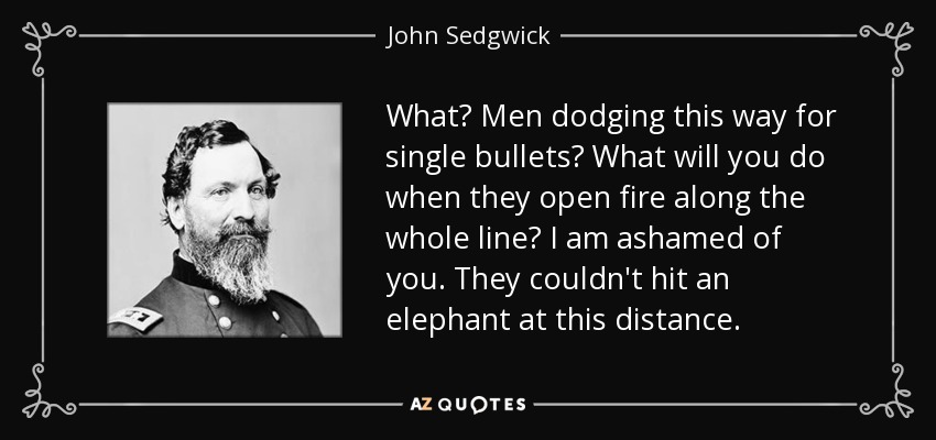 What? Men dodging this way for single bullets? What will you do when they open fire along the whole line? I am ashamed of you. They couldn't hit an elephant at this distance. - John Sedgwick