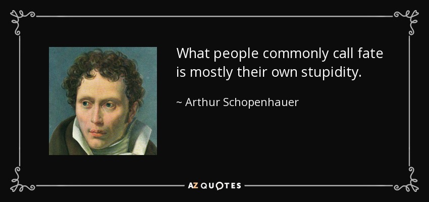 What people commonly call fate is mostly their own stupidity. - Arthur Schopenhauer