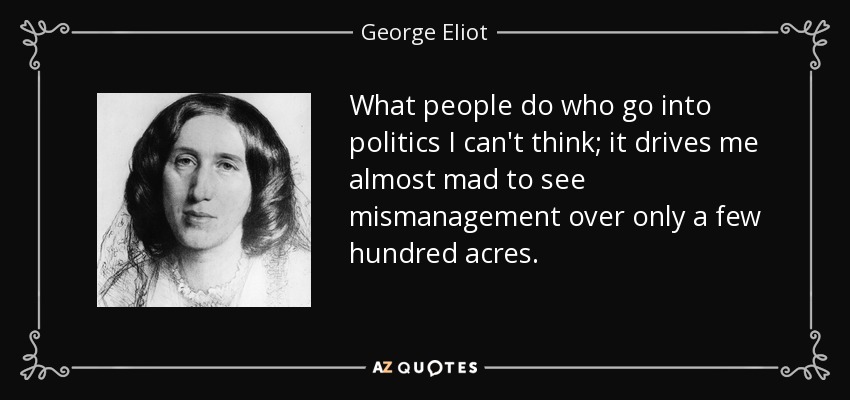 What people do who go into politics I can't think; it drives me almost mad to see mismanagement over only a few hundred acres. - George Eliot