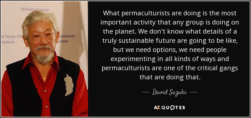 What permaculturists are doing is the most important activity that any group is doing on the planet. We don't know what details of a truly sustainable future are going to be like, but we need options, we need people experimenting in all kinds of ways and permaculturists are one of the critical gangs that are doing that. - David Suzuki