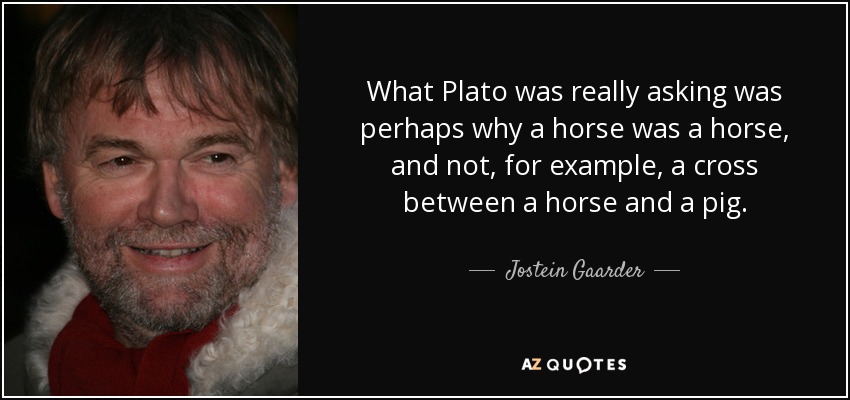 What Plato was really asking was perhaps why a horse was a horse, and not, for example, a cross between a horse and a pig. - Jostein Gaarder