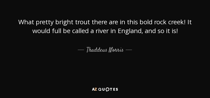 What pretty bright trout there are in this bold rock creek! It would full be called a river in England, and so it is! - Thaddeus Norris