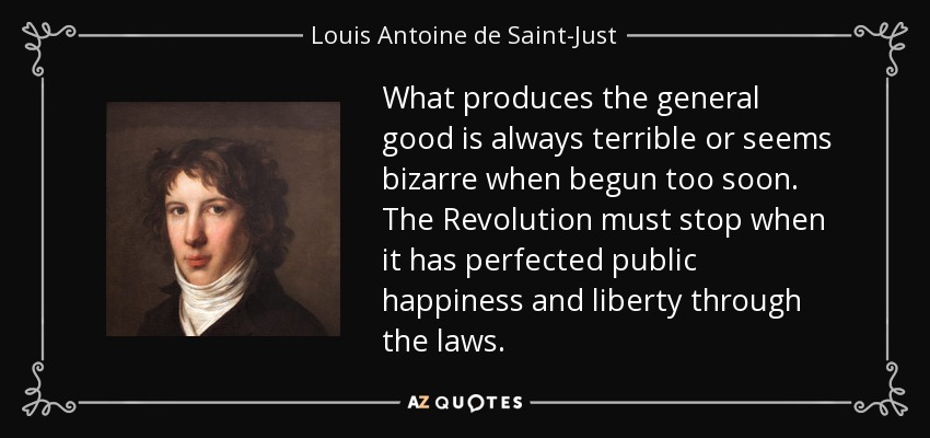 What produces the general good is always terrible or seems bizarre when begun too soon. The Revolution must stop when it has perfected public happiness and liberty through the laws. - Louis Antoine de Saint-Just