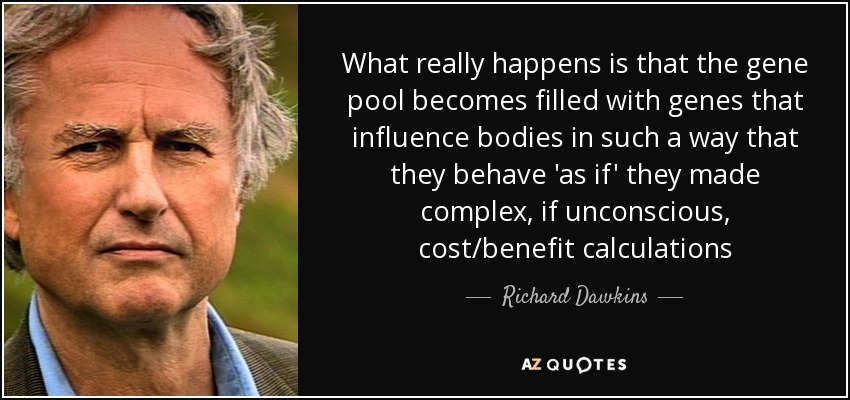 What really happens is that the gene pool becomes filled with genes that influence bodies in such a way that they behave 'as if' they made complex, if unconscious, cost/benefit calculations - Richard Dawkins