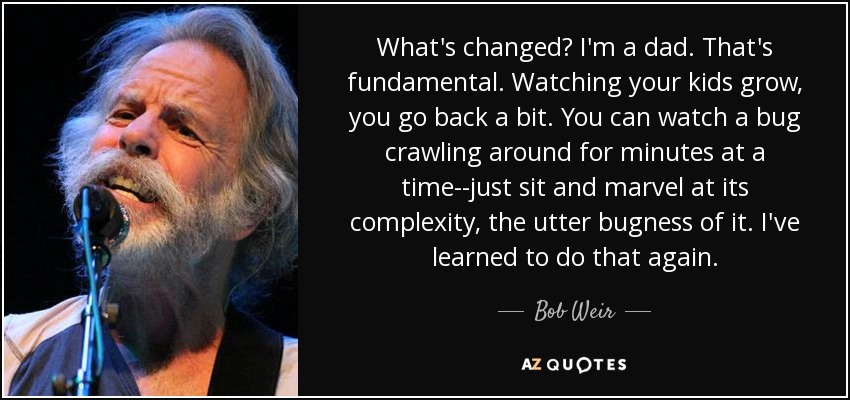 What's changed? I'm a dad. That's fundamental. Watching your kids grow, you go back a bit. You can watch a bug crawling around for minutes at a time--just sit and marvel at its complexity, the utter bugness of it. I've learned to do that again. - Bob Weir