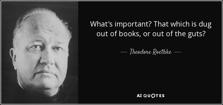 What's important? That which is dug out of books, or out of the guts? - Theodore Roethke