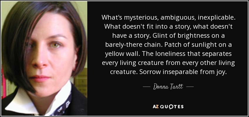 What's mysterious, ambiguous, inexplicable. What doesn't fit into a story, what doesn't have a story. Glint of brightness on a barely-there chain. Patch of sunlight on a yellow wall. The loneliness that separates every living creature from every other living creature. Sorrow inseparable from joy. - Donna Tartt