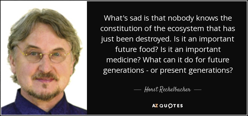 What's sad is that nobody knows the constitution of the ecosystem that has just been destroyed. Is it an important future food? Is it an important medicine? What can it do for future generations - or present generations? - Horst Rechelbacher
