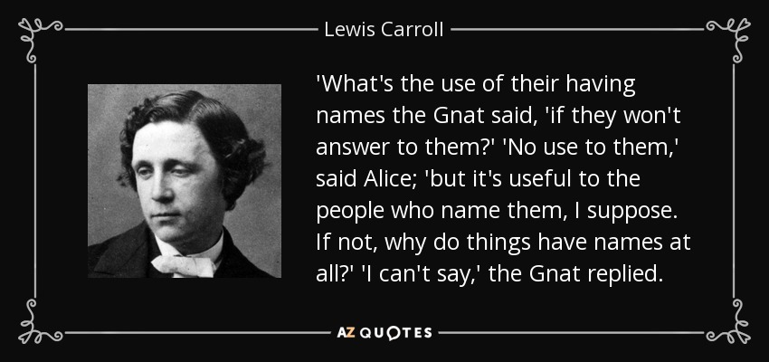 'What's the use of their having names the Gnat said, 'if they won't answer to them?' 'No use to them,' said Alice; 'but it's useful to the people who name them, I suppose. If not, why do things have names at all?' 'I can't say,' the Gnat replied. - Lewis Carroll