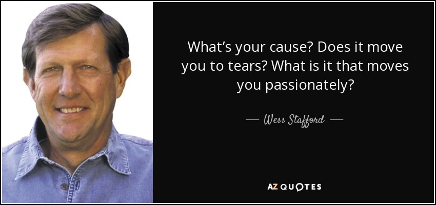What’s your cause? Does it move you to tears? What is it that moves you passionately? - Wess Stafford