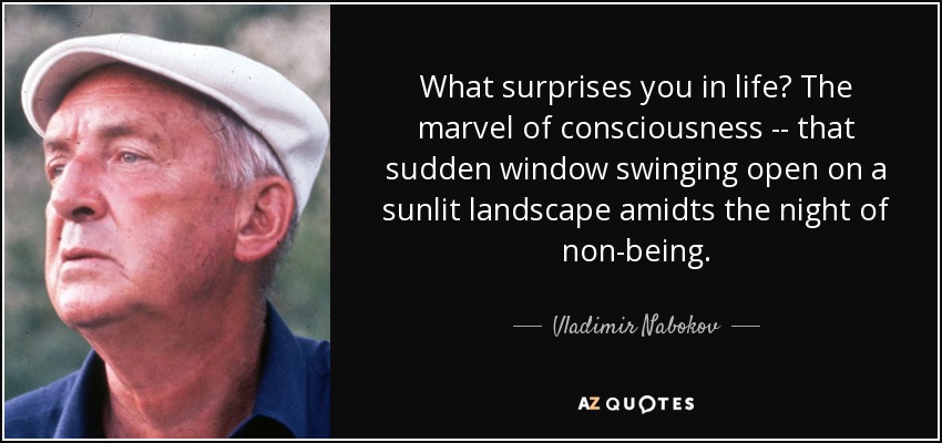 What surprises you in life? The marvel of consciousness -- that sudden window swinging open on a sunlit landscape amidts the night of non-being. - Vladimir Nabokov