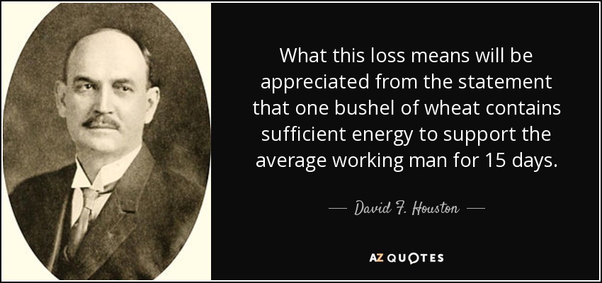What this loss means will be appreciated from the statement that one bushel of wheat contains sufficient energy to support the average working man for 15 days. - David F. Houston