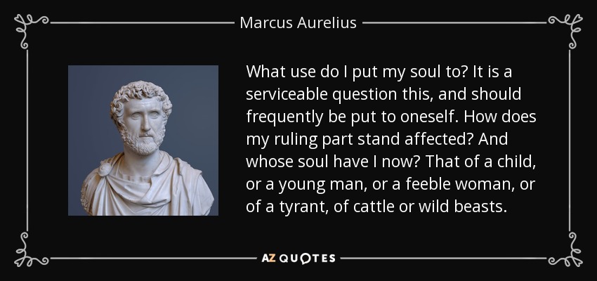 What use do I put my soul to? It is a serviceable question this, and should frequently be put to oneself. How does my ruling part stand affected? And whose soul have I now? That of a child, or a young man, or a feeble woman, or of a tyrant, of cattle or wild beasts. - Marcus Aurelius