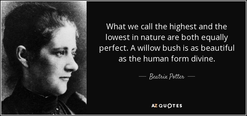 What we call the highest and the lowest in nature are both equally perfect. A willow bush is as beautiful as the human form divine. - Beatrix Potter