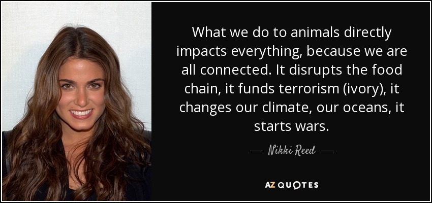 What we do to animals directly impacts everything, because we are all connected. It disrupts the food chain, it funds terrorism (ivory), it changes our climate, our oceans, it starts wars. - Nikki Reed