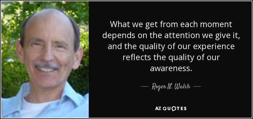 What we get from each moment depends on the attention we give it, and the quality of our experience reflects the quality of our awareness. - Roger N. Walsh