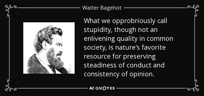 What we opprobriously call stupidity, though not an enlivening quality in common society, is nature's favorite resource for preserving steadiness of conduct and consistency of opinion. - Walter Bagehot