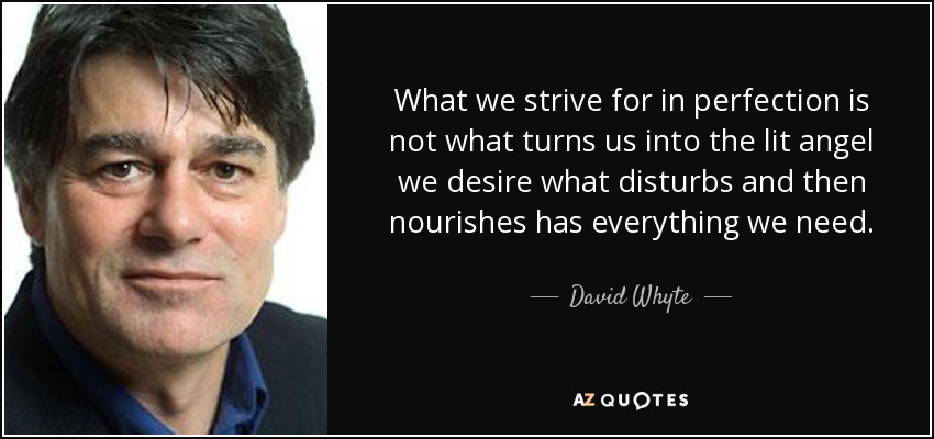 What we strive for in perfection is not what turns us into the lit angel we desire what disturbs and then nourishes has everything we need. - David Whyte