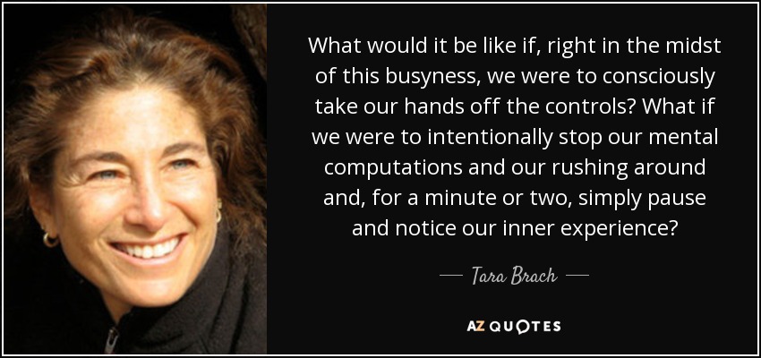 What would it be like if, right in the midst of this busyness, we were to consciously take our hands off the controls? What if we were to intentionally stop our mental computations and our rushing around and, for a minute or two, simply pause and notice our inner experience? - Tara Brach