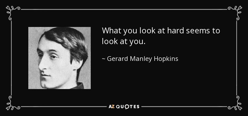 What you look at hard seems to look at you. - Gerard Manley Hopkins