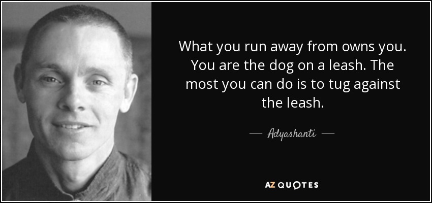 What you run away from owns you. You are the dog on a leash. The most you can do is to tug against the leash. - Adyashanti