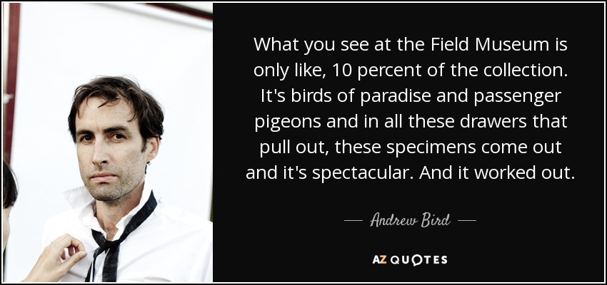 What you see at the Field Museum is only like, 10 percent of the collection. It's birds of paradise and passenger pigeons and in all these drawers that pull out, these specimens come out and it's spectacular. And it worked out. - Andrew Bird