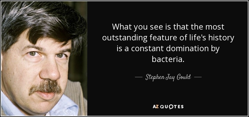 What you see is that the most outstanding feature of life's history is a constant domination by bacteria. - Stephen Jay Gould