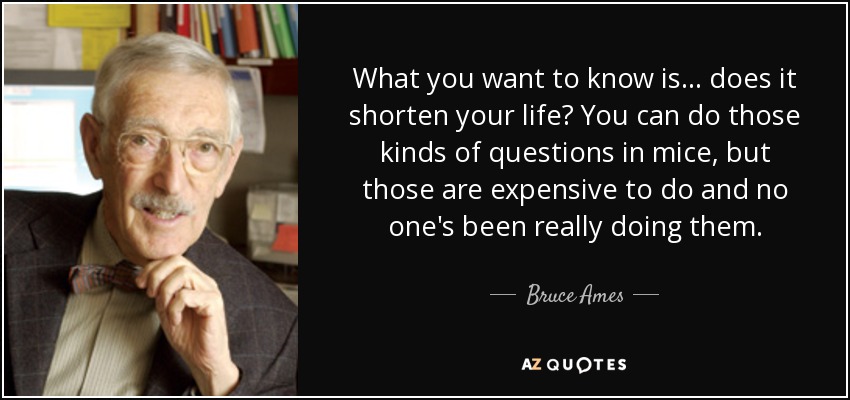 What you want to know is... does it shorten your life? You can do those kinds of questions in mice, but those are expensive to do and no one's been really doing them. - Bruce Ames