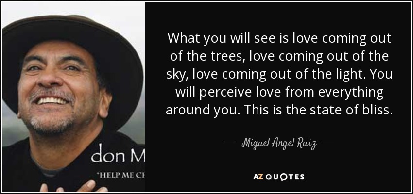 What you will see is love coming out of the trees, love coming out of the sky, love coming out of the light. You will perceive love from everything around you. This is the state of bliss. - Miguel Angel Ruiz