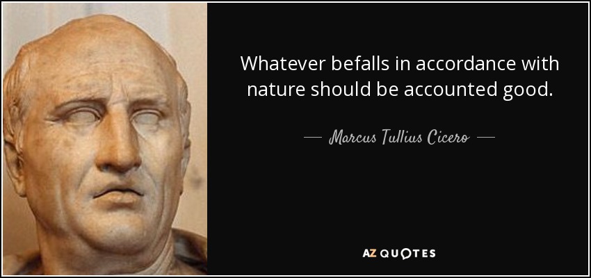 Whatever befalls in accordance with nature should be accounted good. - Marcus Tullius Cicero