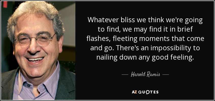 Whatever bliss we think we're going to find, we may find it in brief flashes, fleeting moments that come and go. There's an impossibility to nailing down any good feeling. - Harold Ramis