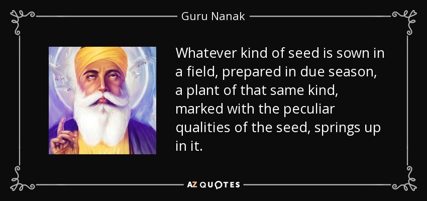 Whatever kind of seed is sown in a field, prepared in due season, a plant of that same kind, marked with the peculiar qualities of the seed, springs up in it. - Guru Nanak