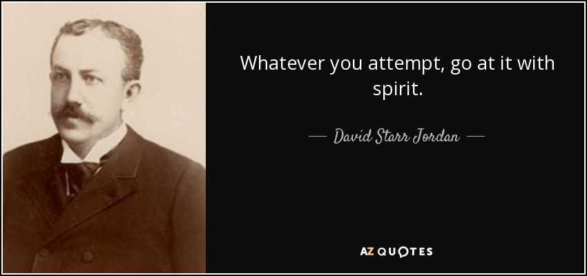 Whatever you attempt, go at it with spirit. - David Starr Jordan