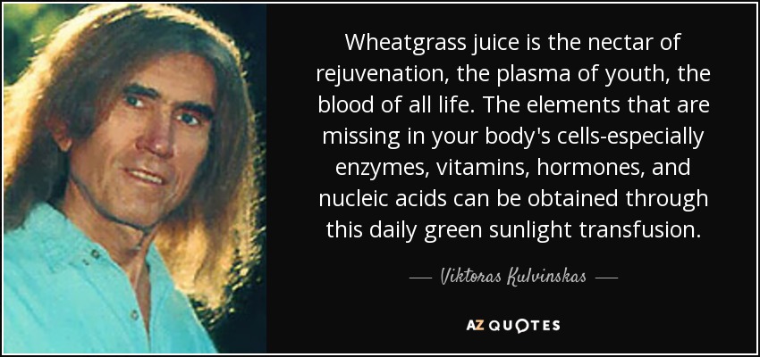 Wheatgrass juice is the nectar of rejuvenation, the plasma of youth, the blood of all life. The elements that are missing in your body's cells-especially enzymes, vitamins, hormones, and nucleic acids can be obtained through this daily green sunlight transfusion. - Viktoras Kulvinskas