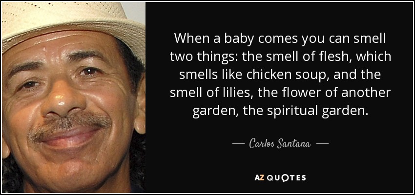 When a baby comes you can smell two things: the smell of flesh, which smells like chicken soup, and the smell of lilies, the flower of another garden, the spiritual garden. - Carlos Santana