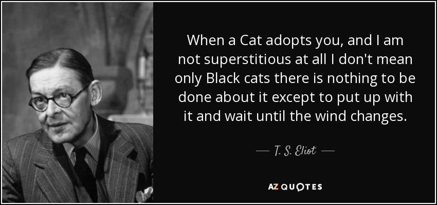 When a Cat adopts you, and I am not superstitious at all I don't mean only Black cats there is nothing to be done about it except to put up with it and wait until the wind changes. - T. S. Eliot