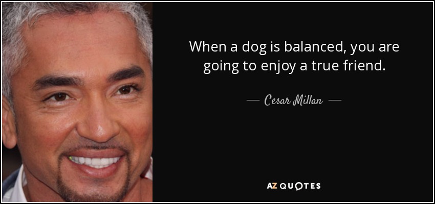 When a dog is balanced, you are going to enjoy a true friend. - Cesar Millan