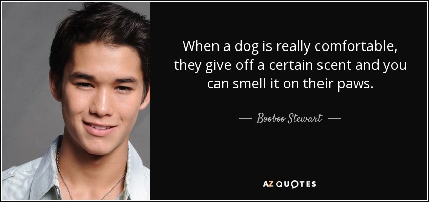 When a dog is really comfortable, they give off a certain scent and you can smell it on their paws. - Booboo Stewart