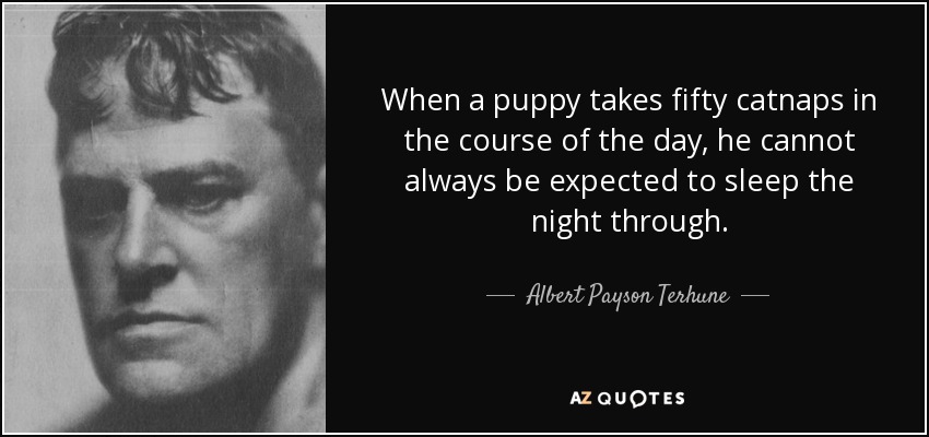 When a puppy takes fifty catnaps in the course of the day, he cannot always be expected to sleep the night through. - Albert Payson Terhune