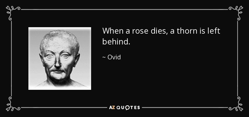 When a rose dies, a thorn is left behind. - Ovid